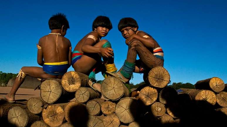 Imagem mostra três crianças indígenas sentadas em toras de madeiras empilhadas.