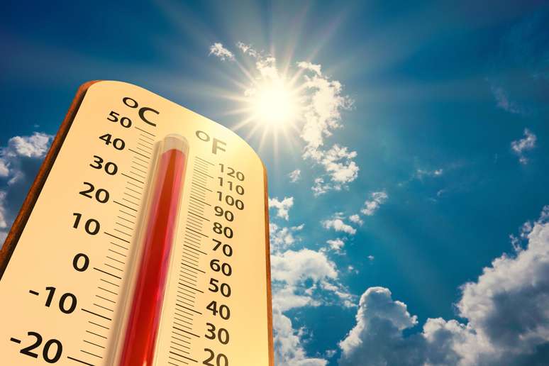 This year, Germany has recorded more than 3,000 heat-related deaths