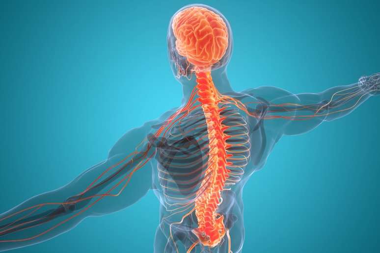 Understand what hyperkyphosis is and how to treat this condition