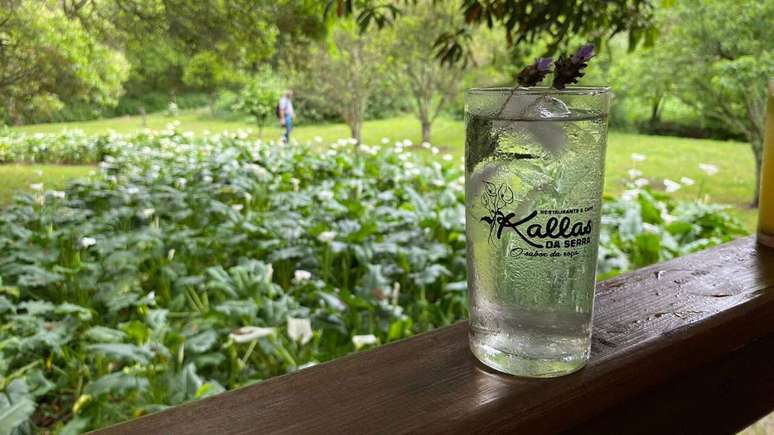 Country lavender soda has become a hit in the SP mountains;  see how to do it
