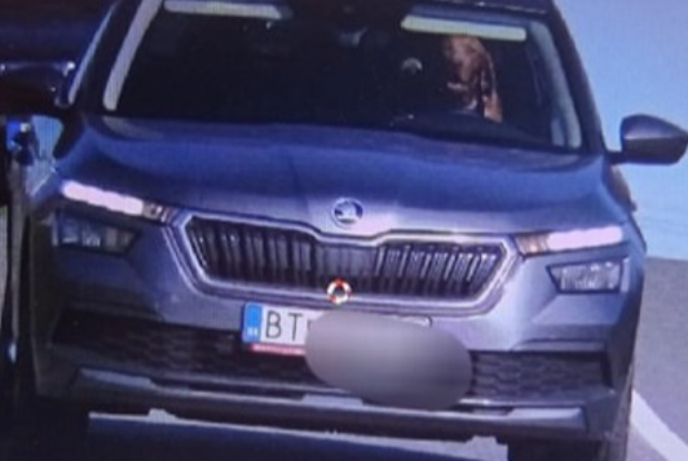 Cachorro é flagrado ao volante de carro, em alta velocidade, na Eslováquia