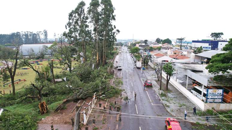 O tornado derrubou árvores e fios