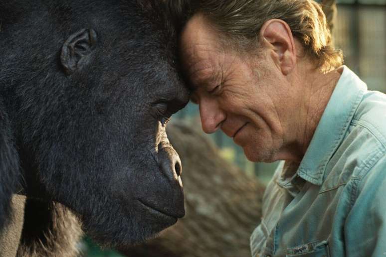 &lsquo;O Grande Ivan&rsquo; aborda o sofrimento dos animais que s&atilde;o capturados de seu h&aacute;bitat natural 