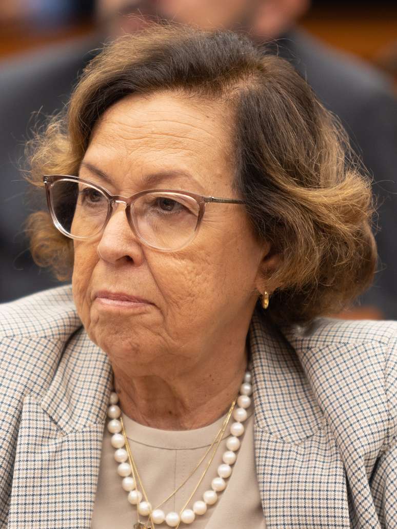 L&iacute;dice da Mata, deputada federal pela Bahia e relatora da PEC das Dom&eacute;sticas, fez parte do Lobby do Batom