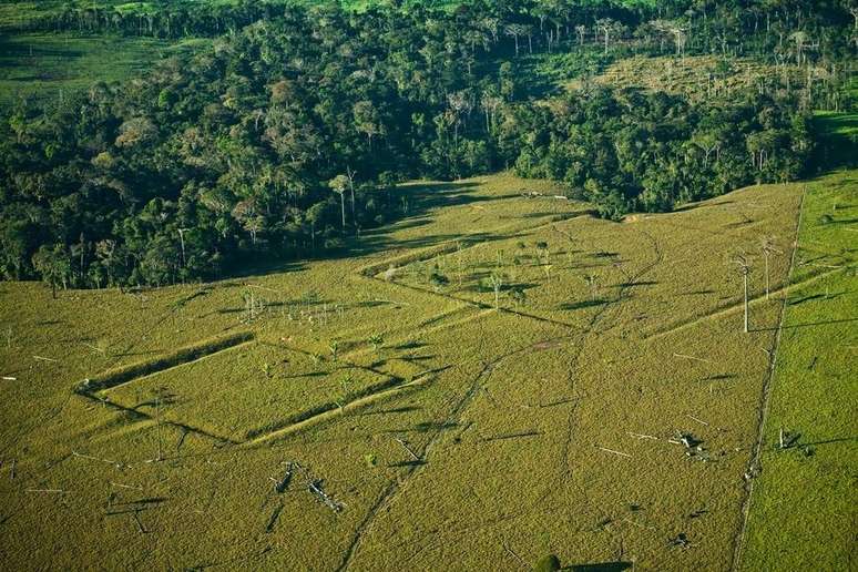 Obras de terra identificadas na paisagem amazônica