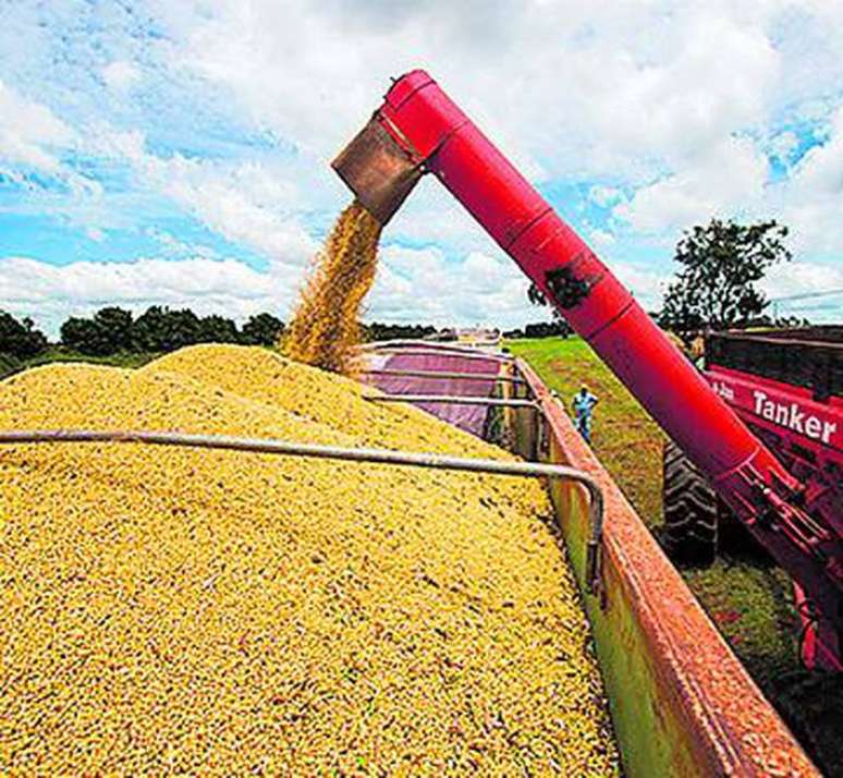 Produ&ccedil;&atilde;o agr&iacute;cola deve totalizar recorde de 318,1 milh&otilde;es de toneladas em 2023, um salto de 20,9% em rela&ccedil;&atilde;o a 2022, segundo levantamento do IBGE