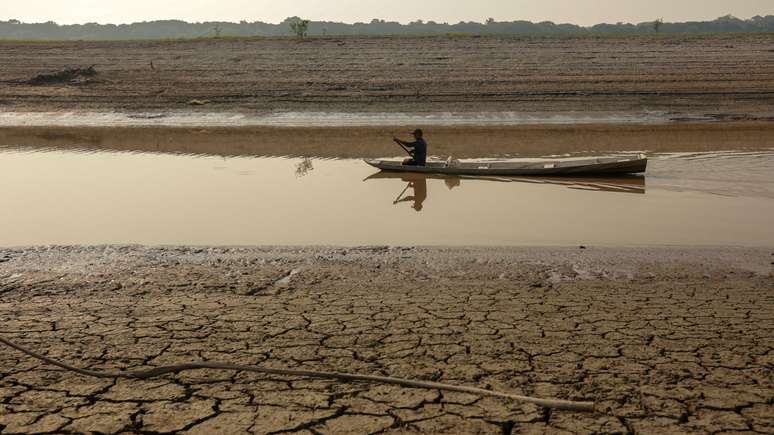 A seca e a onda de calor mataram grandes quantidades de peixes nos rios onde vivem os povos indígenas