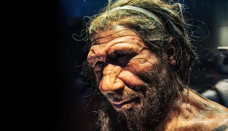 Aparentemente, os neandertais sentiam mais dor de perfurações do que nós, Homo sapiens — mas não mais de dores de queimadura, frio ou pressão (Imagem: Neil Howard/Flickr)