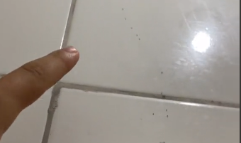 V&iacute;deo com toalha cheia de formigas viraliza e levanta teorias: &lsquo;descobri minha diabetes assim