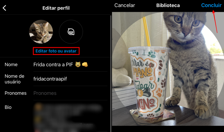 Você pode adicionar ou alterar a foto da bio do seu Instagram e posicioná-la no ângulo que quiser (Imagem: Captura de tela/Fabrício Calixto/Canaltech)