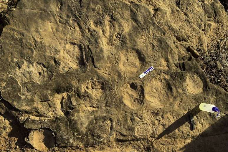 Pegadas de diferentes dinossauros foram identificadas em fazenda do interior paulista