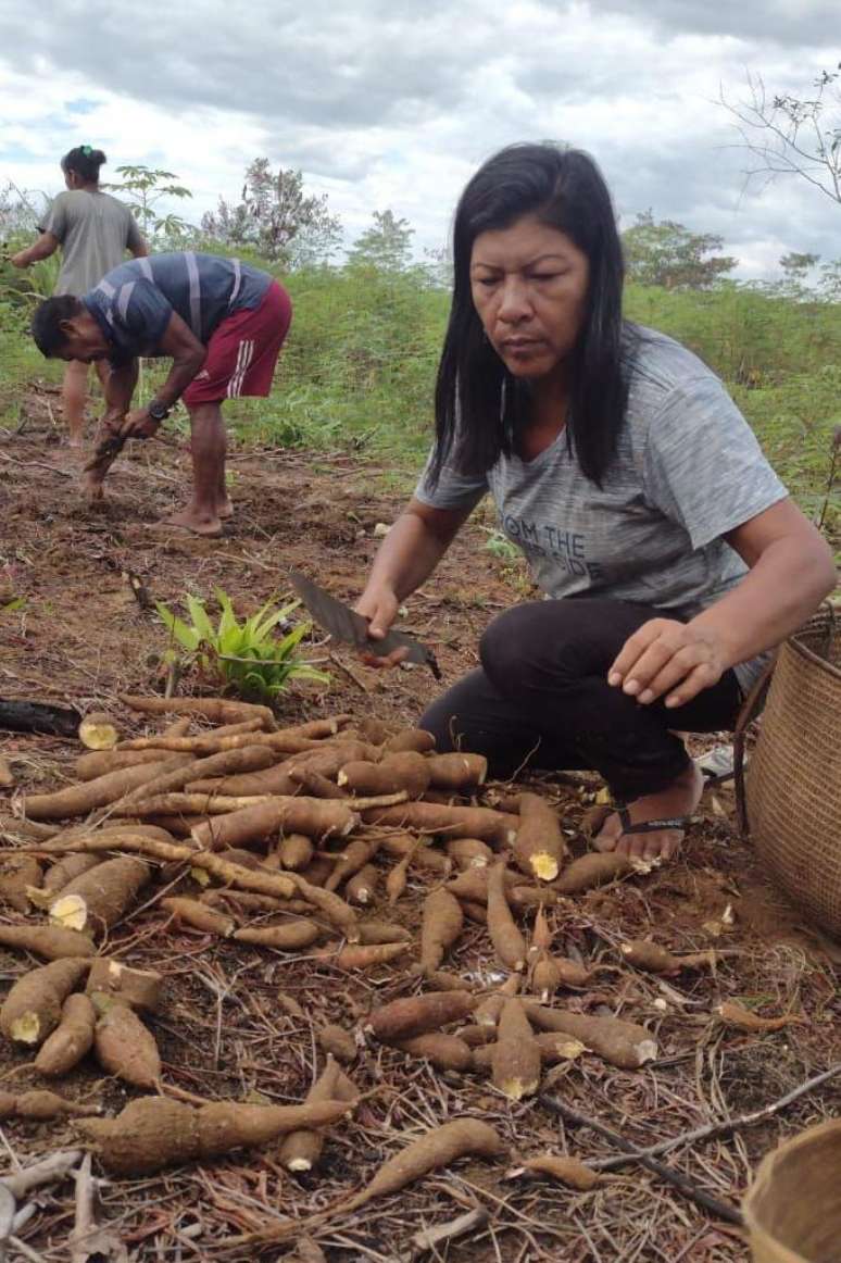 Almerinda Ramos conta que por conta da estiagem, a cultura da mandioca, essencial para sua comunidade, foi afetada. "Como choveu pouco, elas estão menores que a média e não estão macias", lamenta