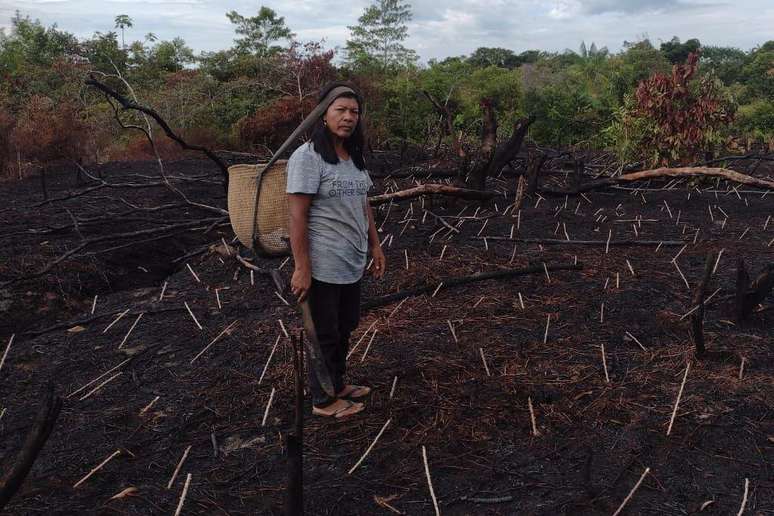 Almerinda Ramos, 50, da etnia tariana, conta que estiagem histórica fez com que fogo se alastrasse por plantações de mandioca que abastecem sua comunidade em São Gabriel da Cachoeira, na fronteira com a Colômbia