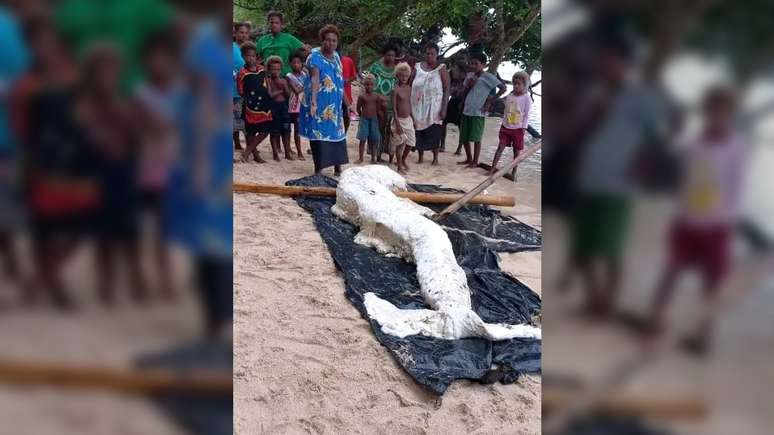 Restos mortais em decomposição de uma criatura marinha foram encontrados em uma praia em Papua Nova Guiné