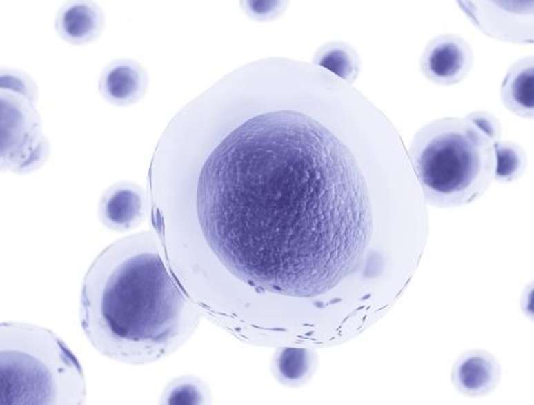 Researchers hope to make progress in treating diseases by understanding the regulatory system. Researchers hope to make progress in treating diseases by understanding the regulatory system.