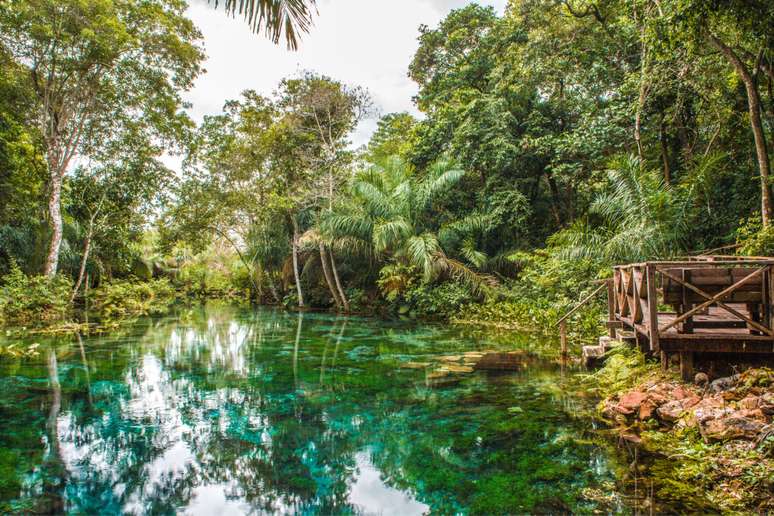 Conexão com a natureza pode ser feita em qualquer lugar 