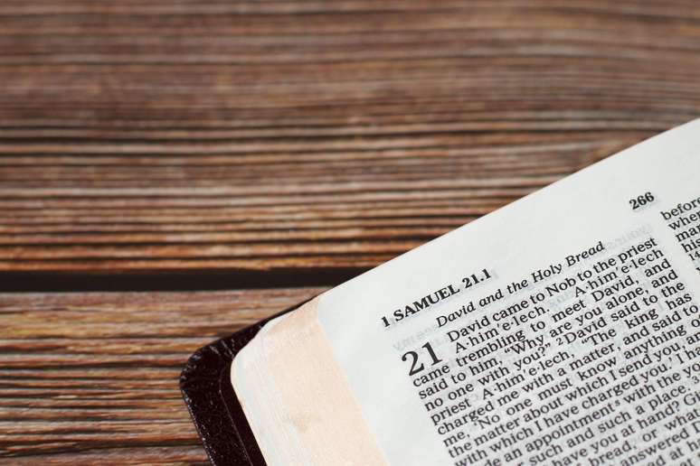 Testemunhas de Jeov&aacute; seguem tradu&ccedil;&atilde;o pr&oacute;pria da B&iacute;blia, a Tradu&ccedil;&atilde;o do Novo Mundo das Escrituras Sagradas, cuja primeira edi&ccedil;&atilde;o foi publicada em ingl&ecirc;s em 1950