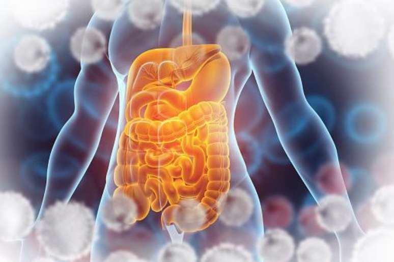 O intestino de pessoas com Alzheimer apresentou n&iacute;veis elevados de bact&eacute;rias