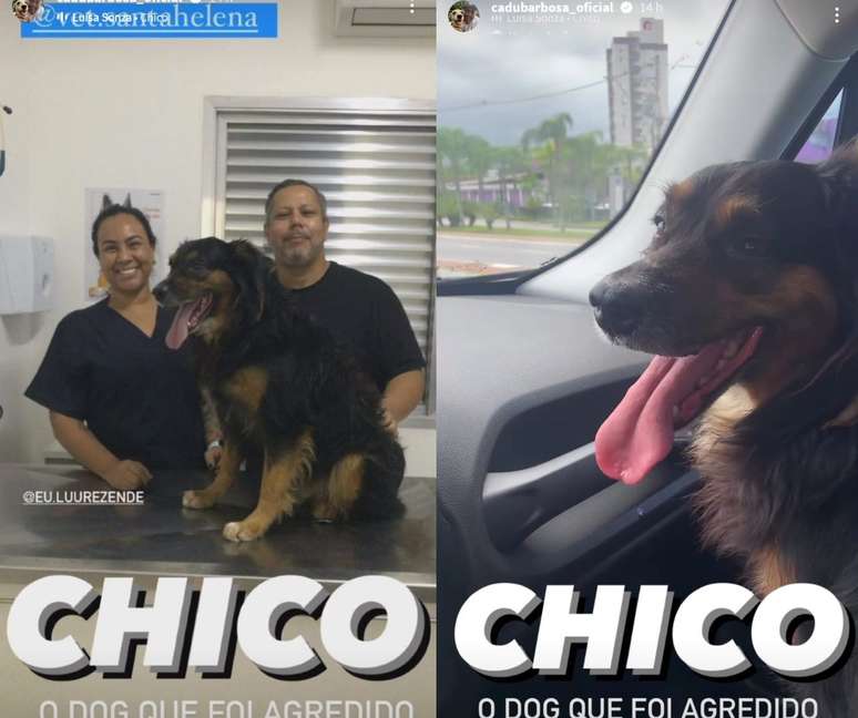 Chico após ser resgatado 