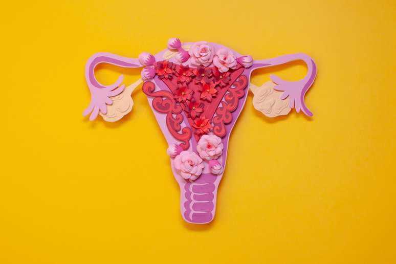 Cistos ovarianos e outras massas ovarianas benignas - Problemas de