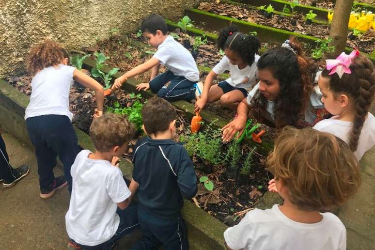 Crianças participam do processo de adubação da terra em horta na escola