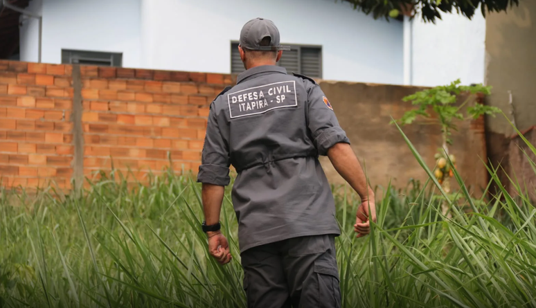 Onça-parda mobiliza equipes de busca em Itapira, SP