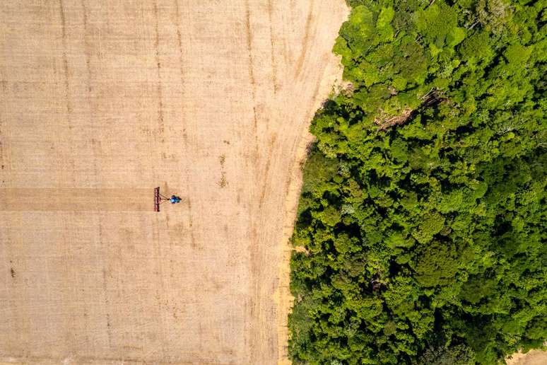 A Cargill tem como uma de suas metas na área de sustentabilidade apoiar a restauração florestal de 100 mil hectares em regiões ambientalmente sensíveis até 2027