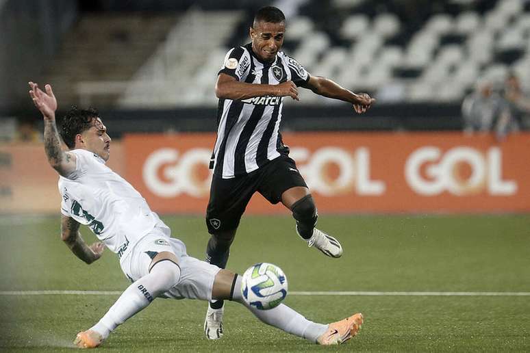 O Palmeiras sempre quis o campeonato que o Botafogo jogou fora - NSC Total