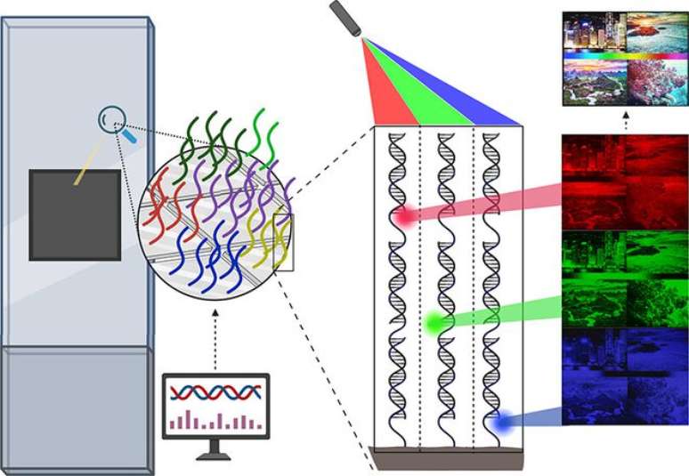 De maneira mais simplificada, o processo de elaboração da pintura digital com DNA: a hibridização de cada arranjo na cor correspondente gera a imagem nas três cores básicas, que juntas se tornam uma pintura (Imagem: Kekić, Lietard/Journal of the American Chemical Society)