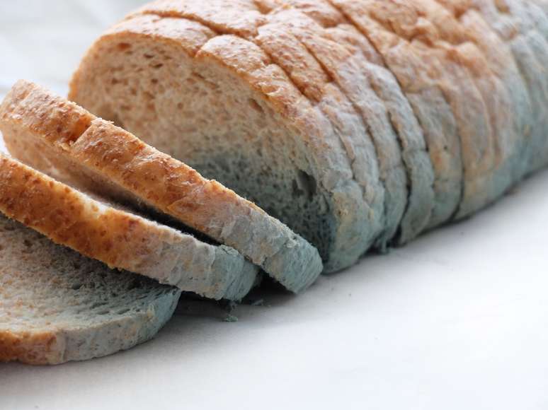 Comer a parte limpa do pão mofado faz mal para a saúde? Entenda!