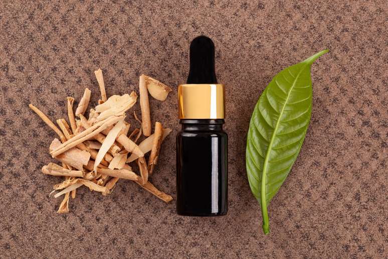 O sananga &eacute; feito a partir de uma planta brejeira chamada Tabernaemontana 