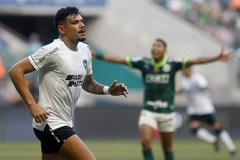 Vidente diz quem vence o jogo Botafogo x Palmeiras