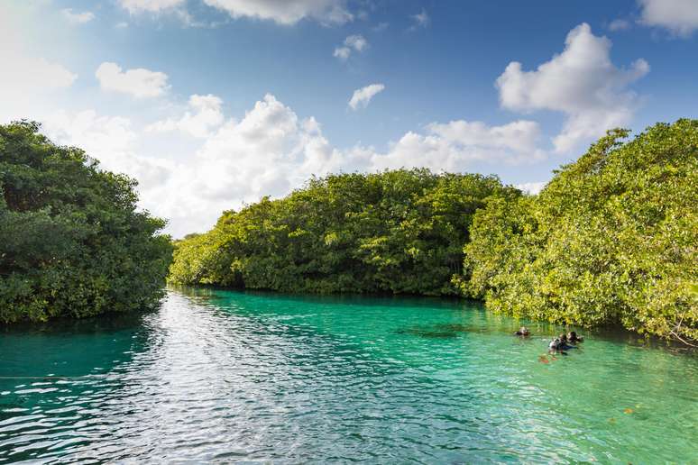 Parece rio, mas &eacute; cenote: o Manati &eacute; cercado por vegeta&ccedil;&atilde;o e tem &aacute;guas turquesa