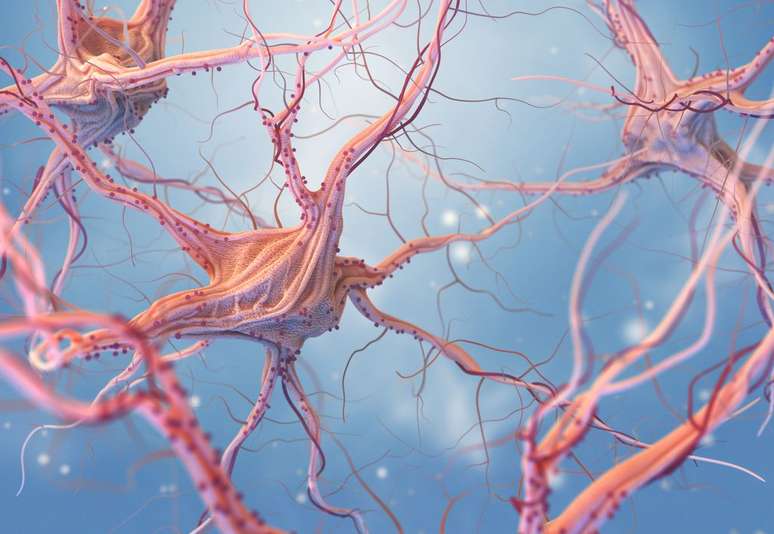 Scientists discover brain-heart connections linked to fainting (Image: iLexx/Envato) Scientists discover brain-heart connections linked to fainting (Image: iLexx/Envato)