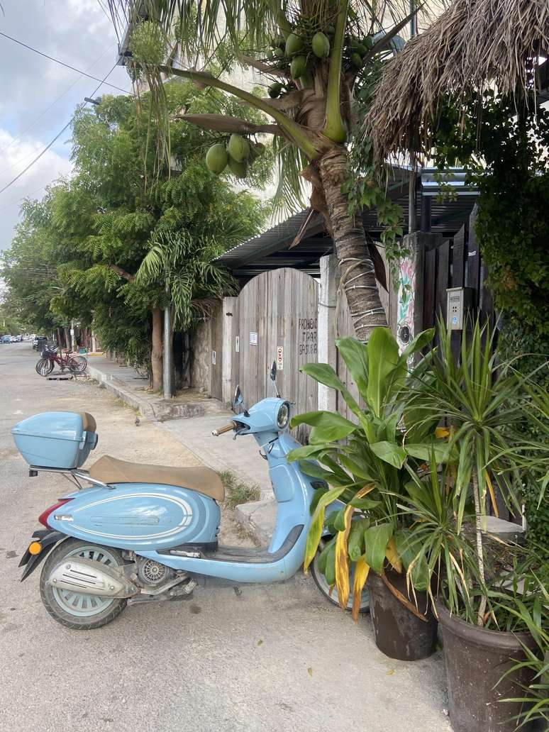 As scooters, junto com as bikes, s&atilde;o os modais de transporte quase oficiais de Tulum