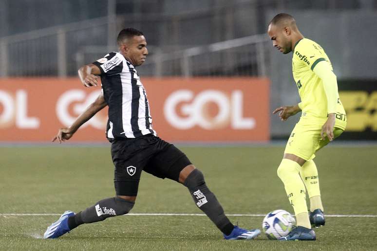 Virada histórica: Palmeiras vence o líder Botafogo após estar perdendo por  3 a 0