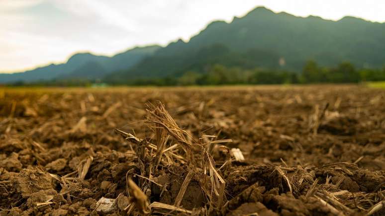 A indústria agrícola é uma das mais atingidas por eventos climáticos extremos