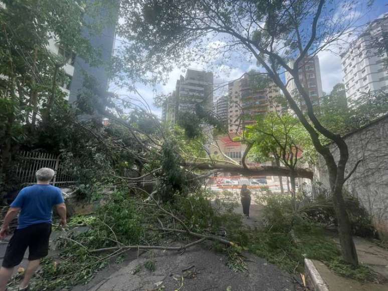 Queda de árvore deixa moradores sem energia na Vila Andrade, na zona sul de São Paulo.