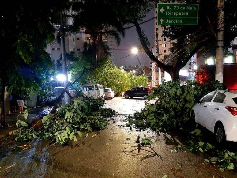 Árvore e galhos caídos na Rua Maria Figueiredo, no Paraíso, São Paulo, após vendaval e chuva forte na tarde desta sexta-feira, 3
