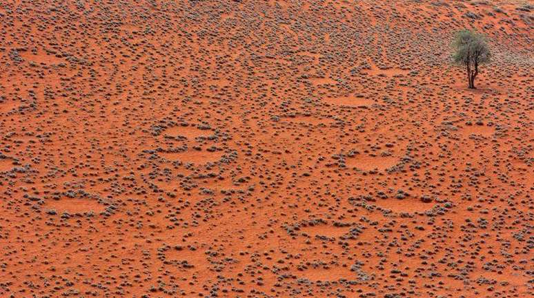 Os círculos de fadas foram observados pela tribo himba, na Namíbia, muito antes da documentação científica