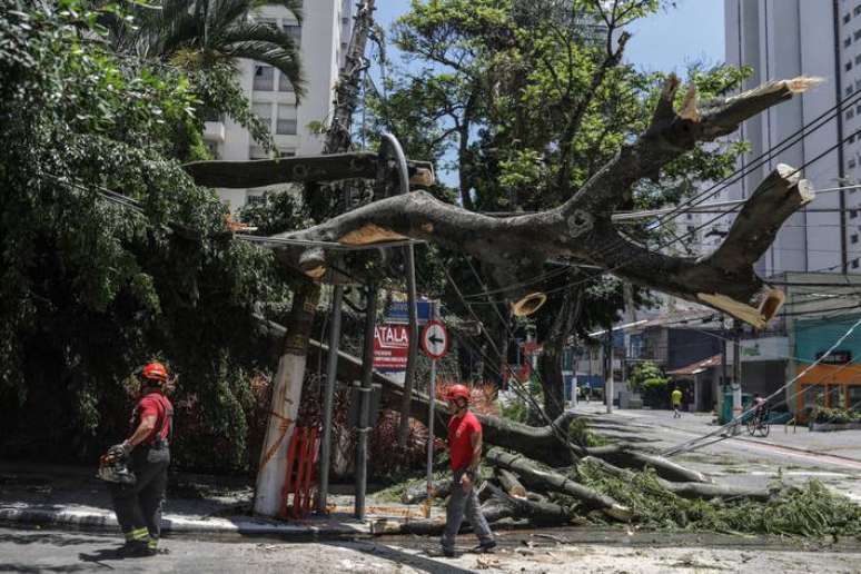 Bombeiros realizam retirada de árvore que caiu na esquina das ruas Rouxinol e Gaivota, em Moema, devido ao vendaval que aconteceu em São Paulo na última sexta-feira, 3.