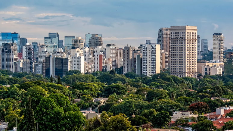 Capital paulista tem cerca de 420 mil árvores, segundo a prefeitura