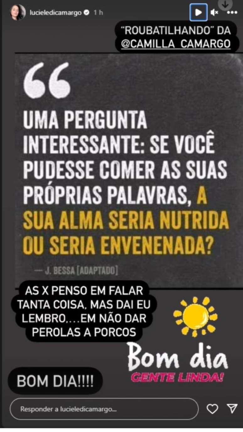 Story de Luciele Camargo. Reprodu&ccedil;&atilde;o/Instagram