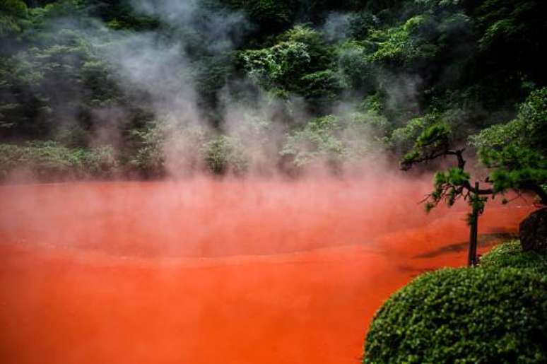 (Fonte: Getty Images/Reprodu&ccedil;&atilde;o)