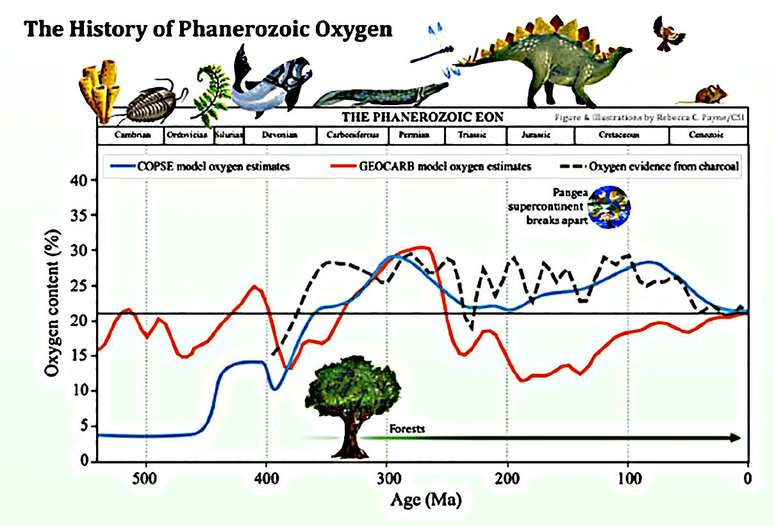 Resumo da modelagem feita pelas astr&ocirc;nomas da Cornell.