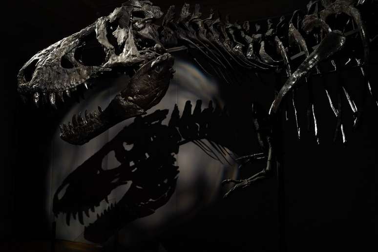 Para matar diariamente a sua fome, o Tyrannosaurus rex precisaria comer duas pessoas por dia (Imagem: Jesper Aggergaard/Unsplash)