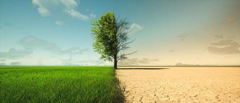 A agricultura convencional em massa contribui de inúmeras maneiras para as mudanças climáticas.