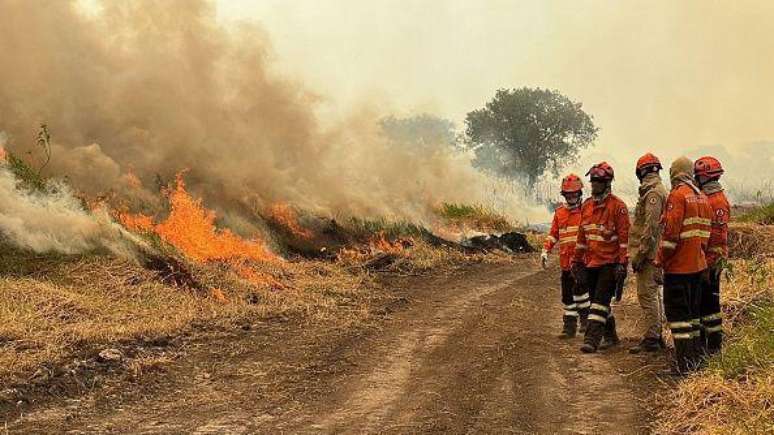 Bombeiros tentam controlar um foco de incêndio no Pantanal no dia 13 de novembro