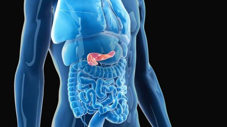 Insulin is the hormone produced by the pancreas that allows our body to absorb glucose