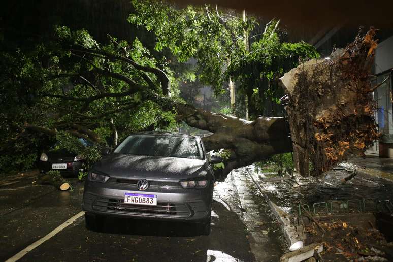 Uma árvore de grandes proporções caiu durante a tempestade e atingiu três veículos na Rua São Carlos do Pinhal, na esquina da Rua Itapeva, em São Paulo, na noite de quarta-feira, 15